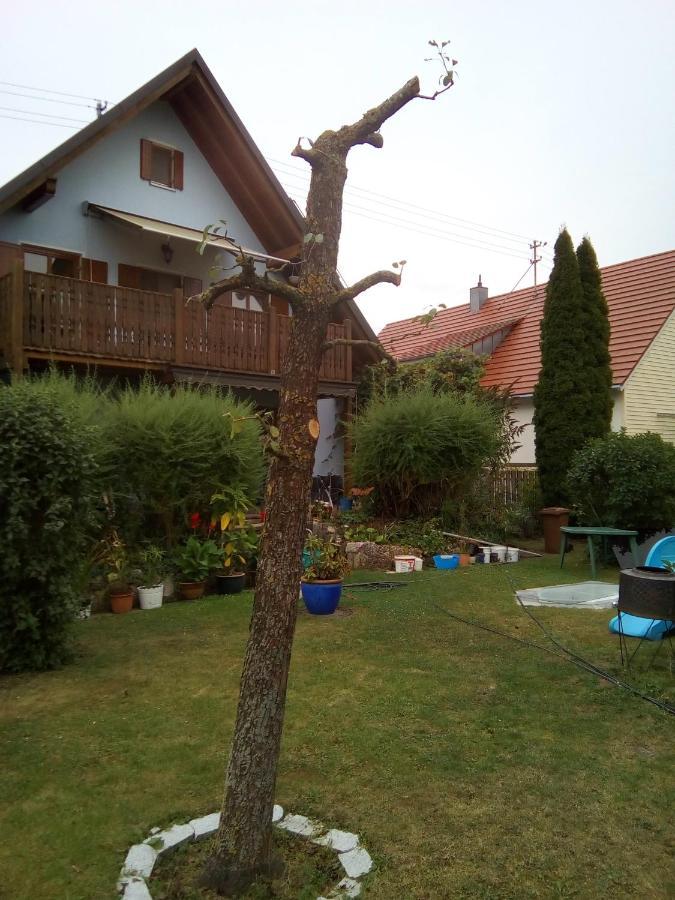Villa Blue Нёрдлинген Экстерьер фото